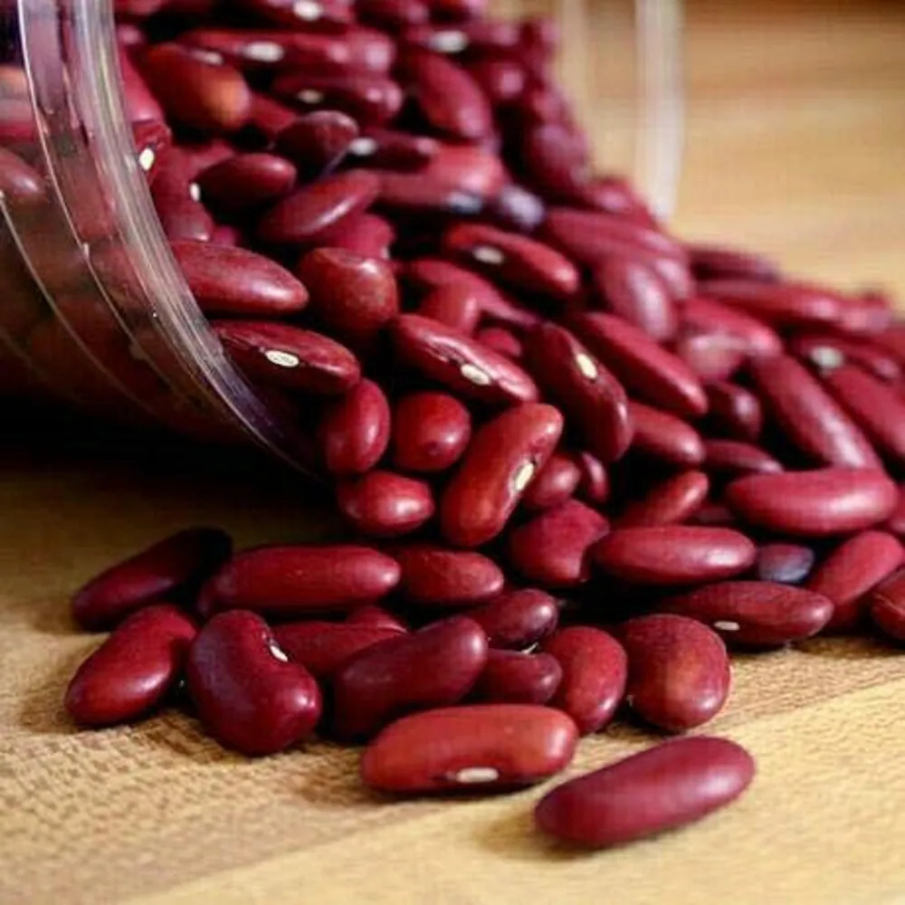  Rajma Kashmiri Red (Chitra): 500 gms
